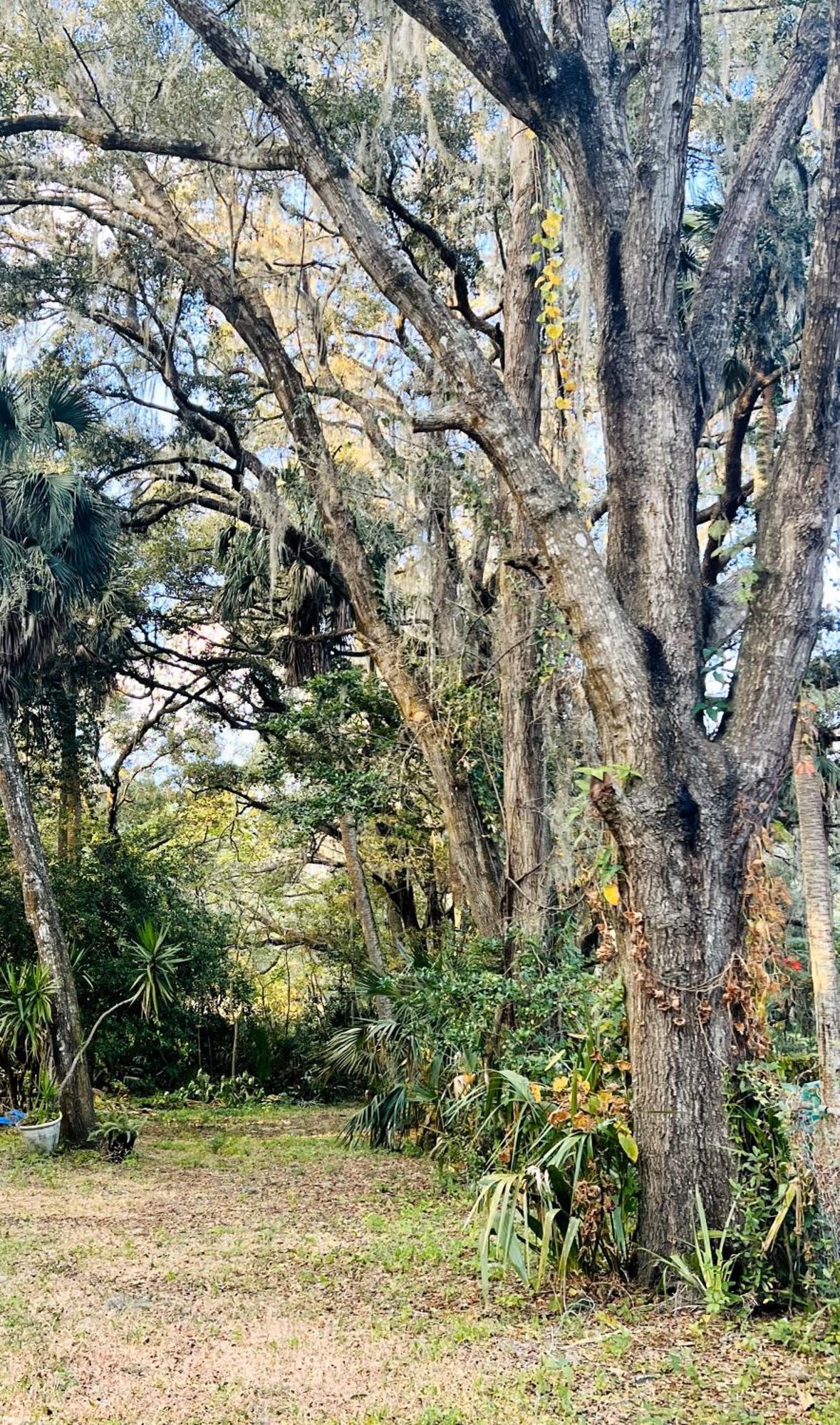 Country Welcome Micanopy Exteriér fotografie