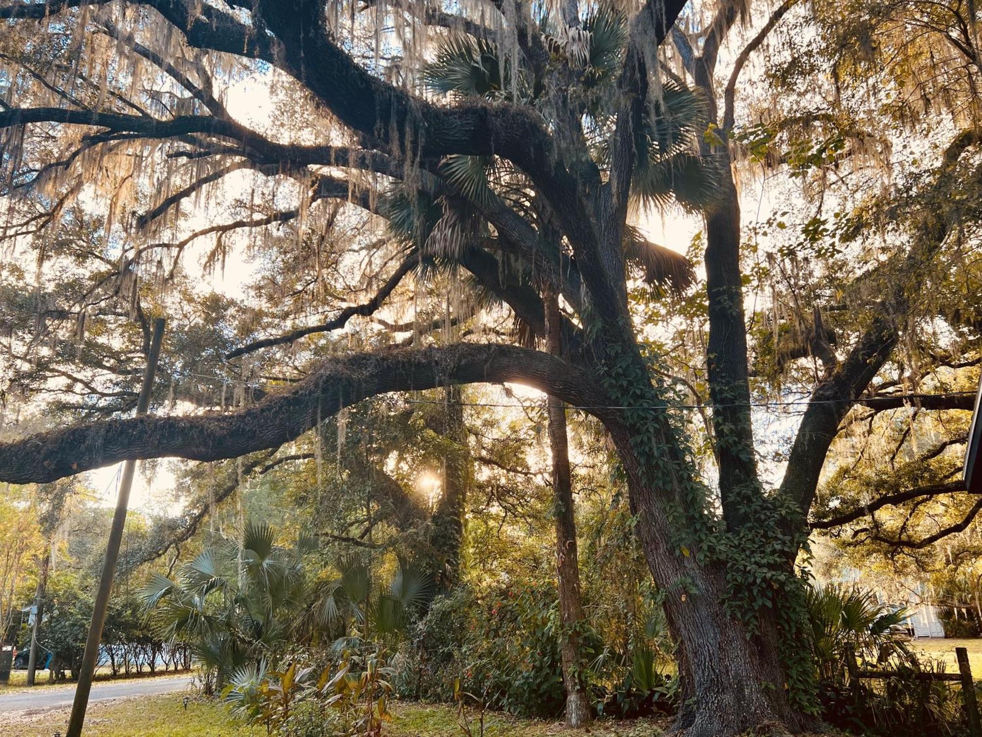 Country Welcome Micanopy Exteriér fotografie